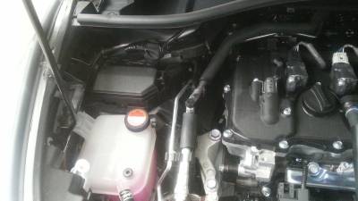 ASCII����;����b��������8���!�����4xV4xV4xV4�������`�G����������I�����������������������������������������������������������������������������������������������������������������������������������������������������������������������������������������������������������������������������������������������������C�A�L�GKFI03����Cur.GKFJ03CML�018001001509002901090502010D010D01240967����#�&������T�U�N�A�������B����1��˕�oW��������K�^�����5X������FLFL�SVN#
g	�������������������������������������������������������������������������������������������������������������������������������	�H	Q	������}��Q�H
�����������������$��������������������p��{u�����z���n	����������d��P��������

��8�����n���������������������������������������������������������������������������������������������������������������������������������������������������������������������������������������������������������������������������������������������������������JKJK�
���pq�����������B����������������������B�������B����1��˕�oW��������K�^�����5X����JKJK
� �� ���������������������������	�
���������������������������	� �
�����������������������������	�
���������������������������������������������������������
�������������������������������"������������������������������"������������������������������"����������	���	�������������������"������
���	���	�������������������"������ �
���������������������"������0�0�@�����0�����"�����"�"������0�p�	�p�	���
�0�����������"���������	���	�����0������"�"�"�"��
��p�	���	���	������������"�"�"�"��
�����	���	���	���0�0������������JKJK�?�E��ғ��d�����m|�������������������������������������������������������������������������������������������������cC�
����(C� �� ��(C� �� ��(C� ��
��������������������������������������������������������������������������������������������������������������������������������������������������������������������������������������������������������������������������������������������������������������������������������������������)�AFAF������������������������������������������������������������������������������������������������������������������������������������������������������������������������������������������������������������������������������������������������������AFAF�N�GK�N�OAFAF���������������������������������������������������������������������������������������������������������������������������������������������������������������������������������������������������������������������������������������������������������������������������������������������������������������������������������������ްF�����
��������X
��x�R��)��)������w�஻��6n0
��0
����������������������������������������������������������������������������������������������������������������������������������������������������������������������������������������������������������������������������������������������������������������������������������������������������������������������������������������������������������������������������������������������������������������������������������������������������������������������������������������������������������������������������������������������������������������������������������������������������������������������������������������������������������������������������������������������������������������������������������������������������������������������������������������������������������2
��4
��6
��8...