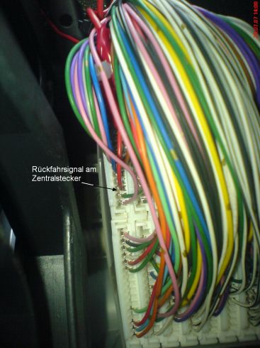 zentralstecker.jpg